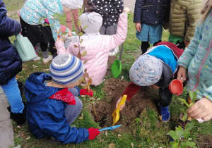 Dzieci sadzą drzewa